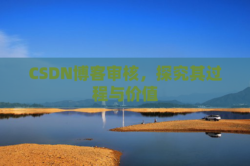 CSDN博客审核，探究其过程与价值